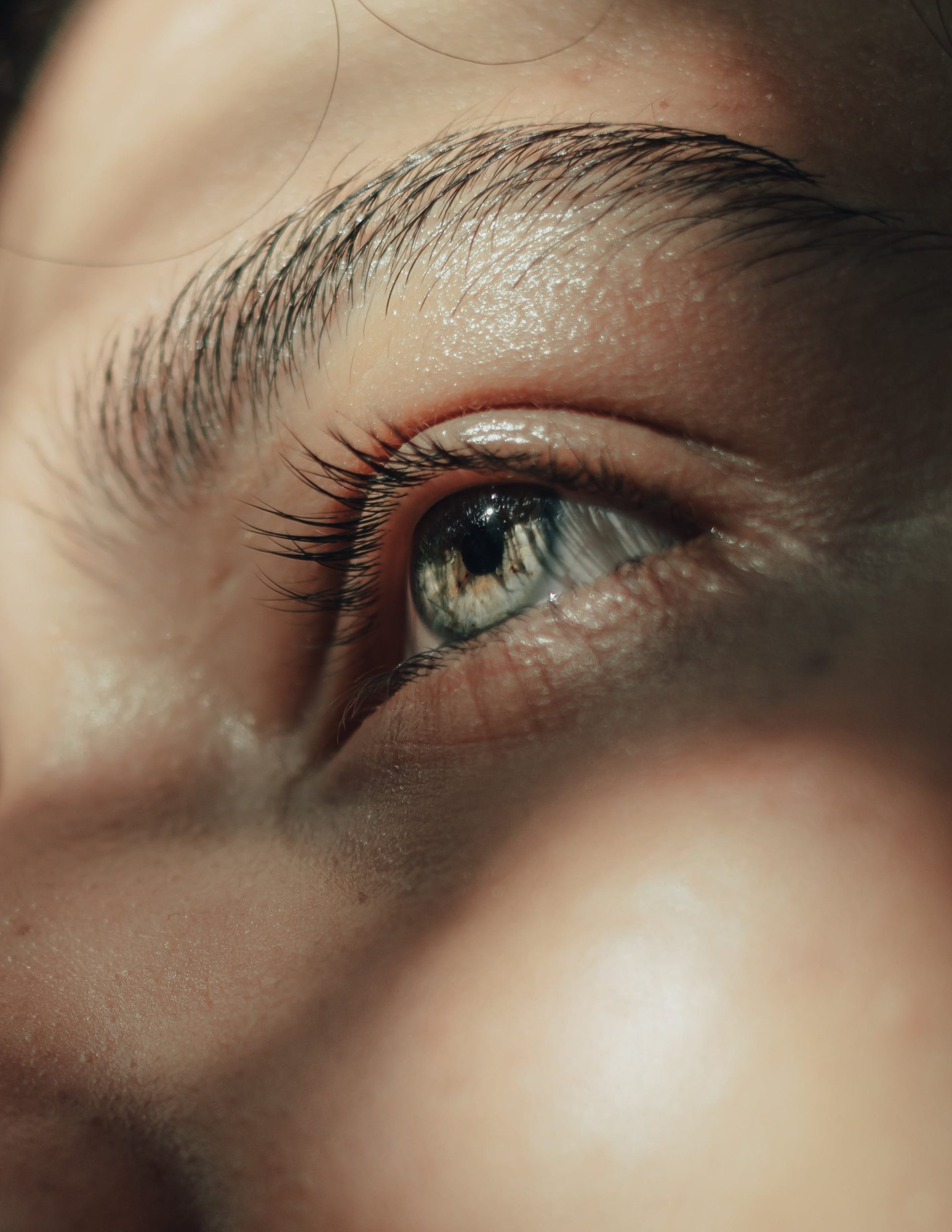 accompagnement continu PME - L'oeil Continue